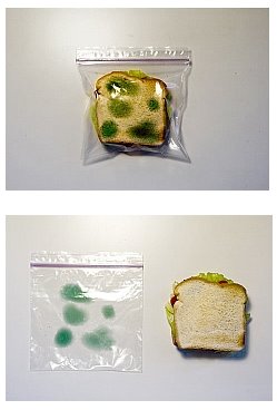 [antitheft-744735.jpg]