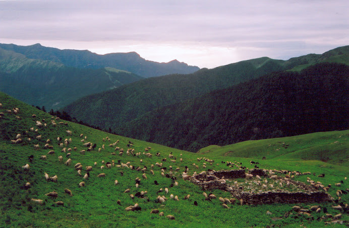 Roopkund trek: Corral in the hills