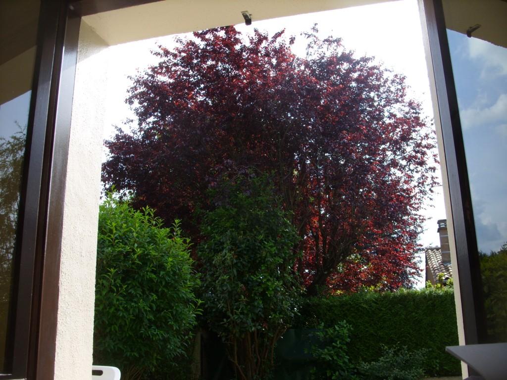 [Tree+I.jpeg]