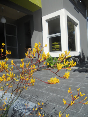 about last weekend: June 2010