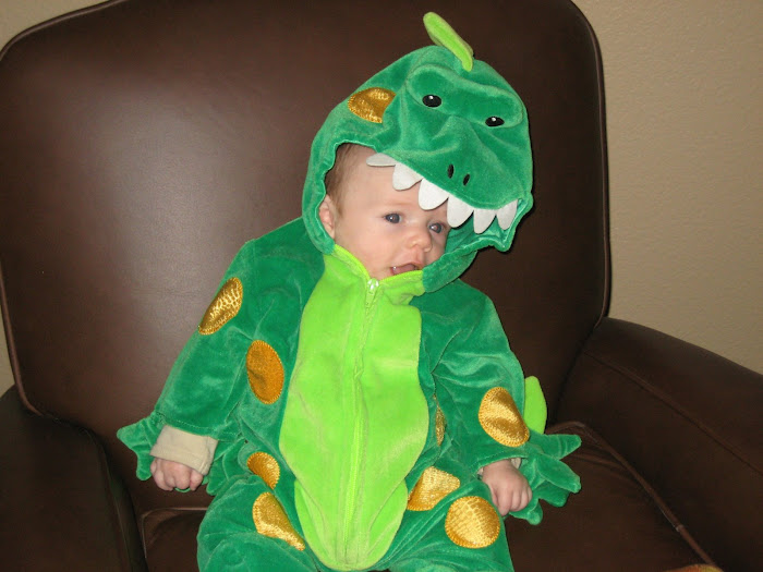 Alex the Alligator...or is that a dinosaur?