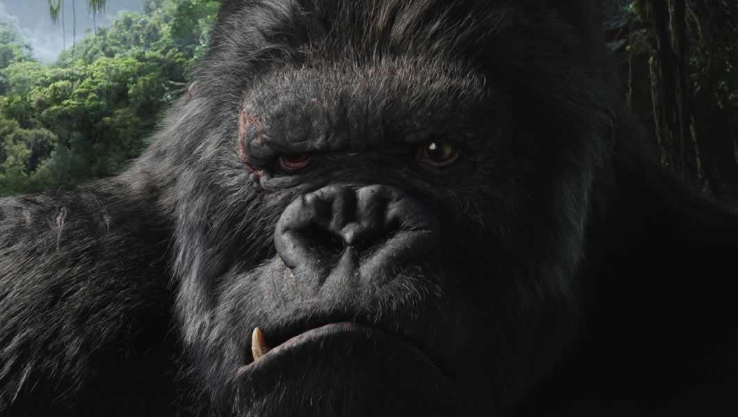 movie-king-kong-2005-wallpaper_1061x600.jpg