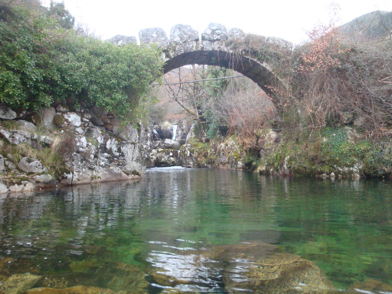[DSC04674.JPG]