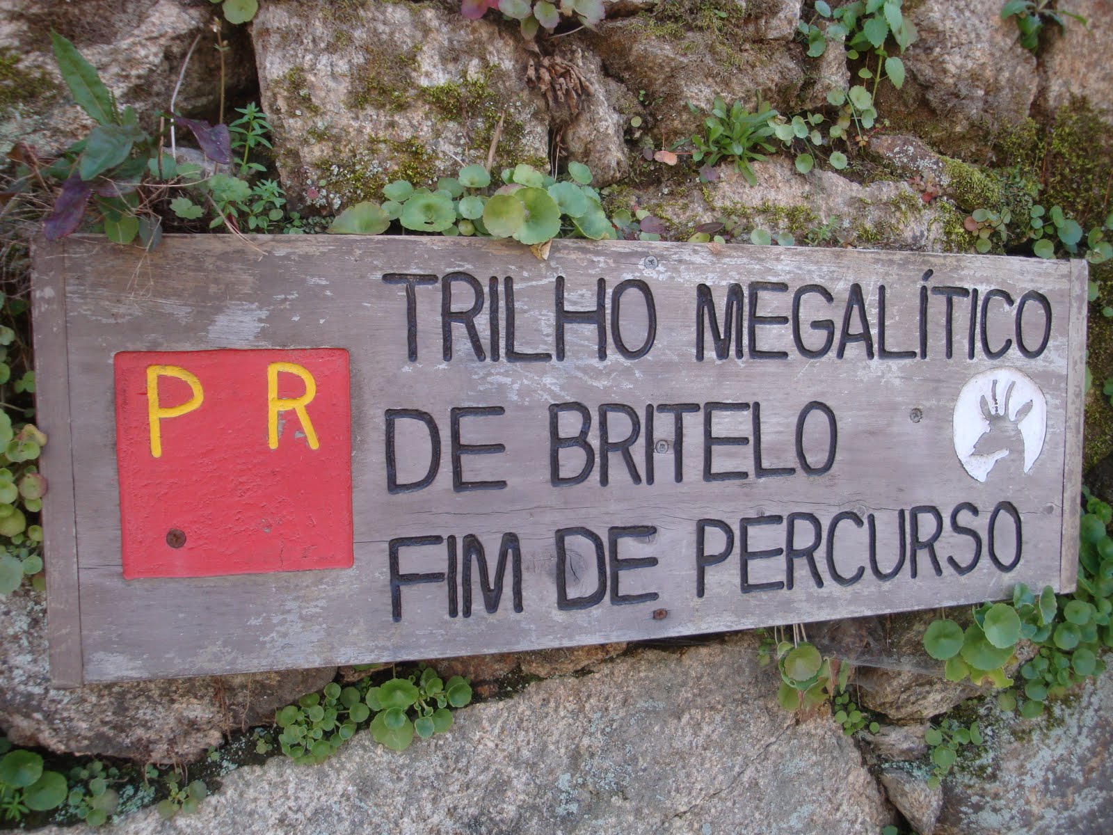 [DSC04954.JPG]