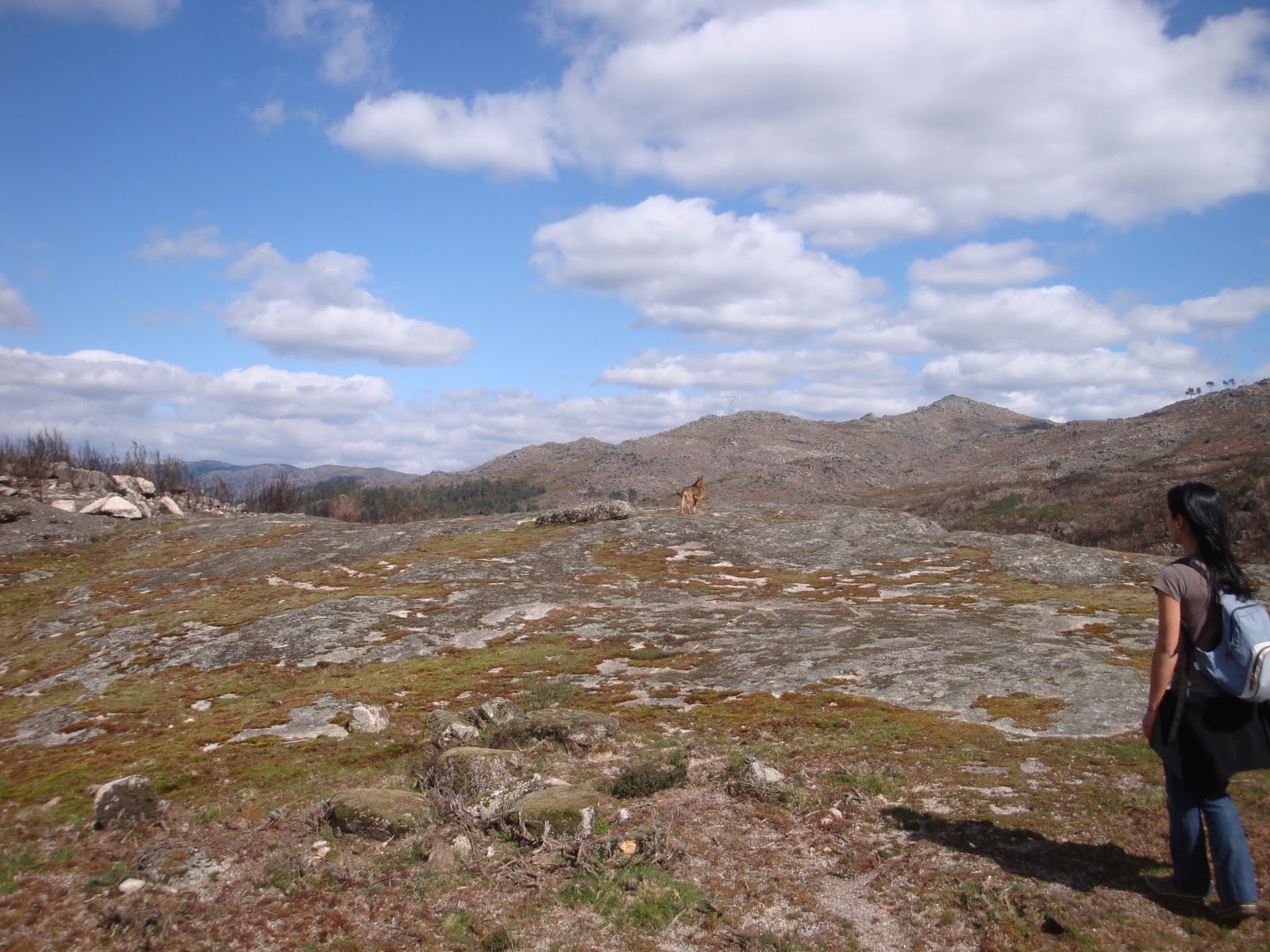 [DSC04963.JPG]