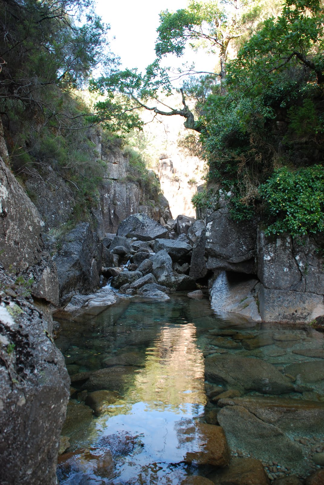 [DSC_1585.JPG]