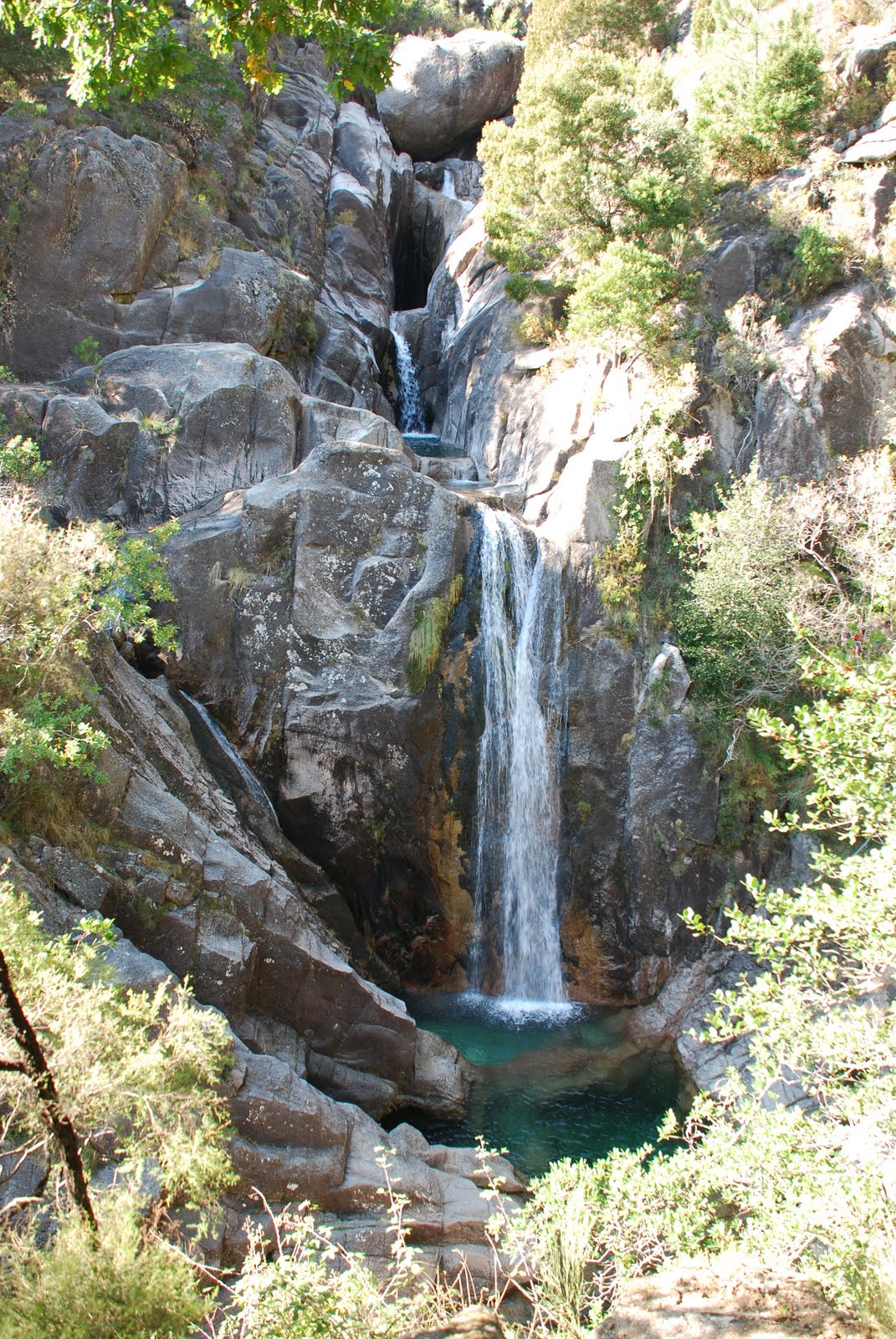 [DSC_1549.JPG]