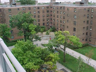 marcy projects brooklyn jay project york housing childhood public urban economics living space decay subsidized influence fdrlibrary marist above edu