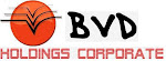 This blog and it's content is under "BVD Holdings Corp." influence