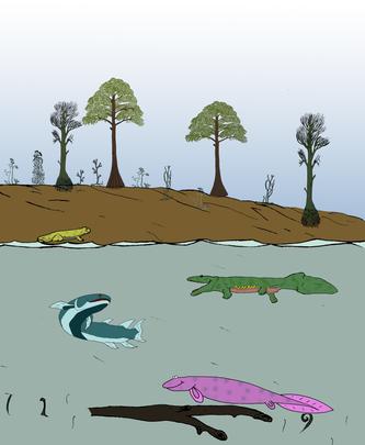 [upper_dev_cath_medium.jpg]