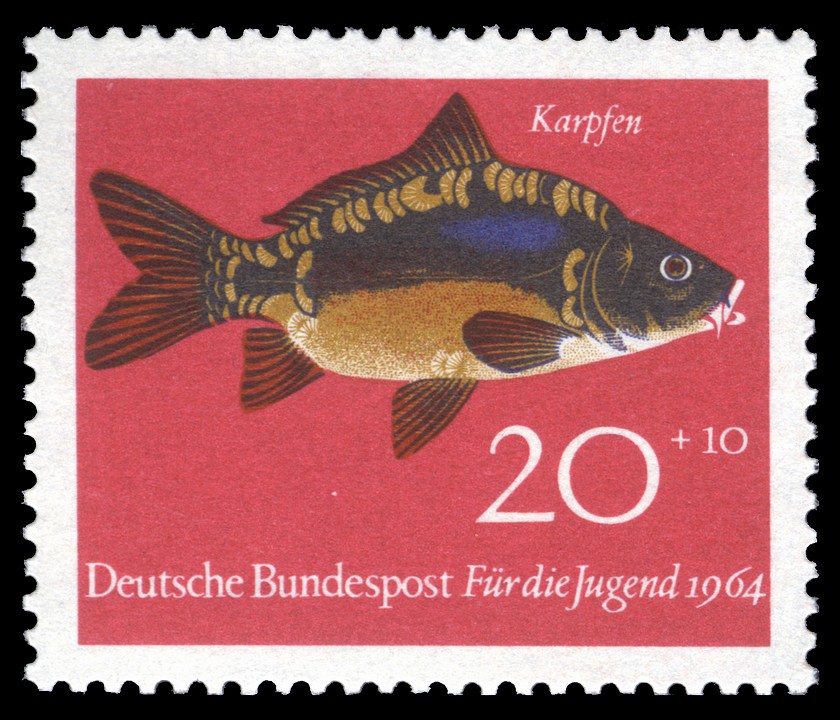 [DBP_1964_414_Jugend_Karpfen.jpg]