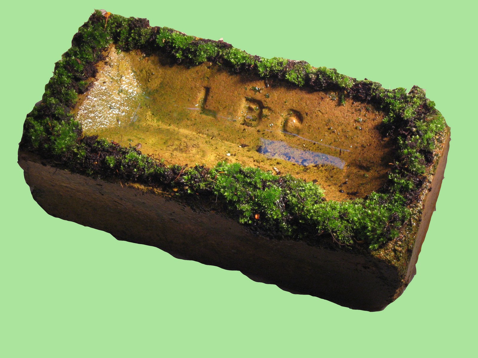 frog brick