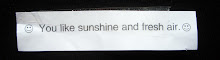 fortune cookie