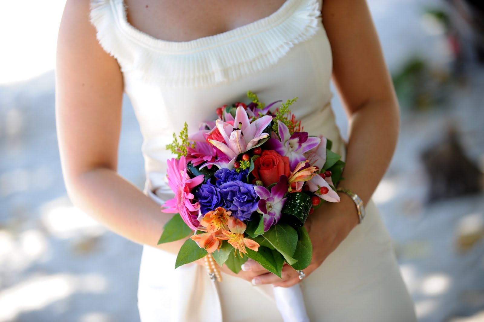 [DSC_6147b.jpg]