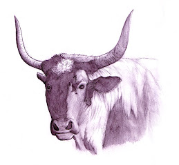 ox