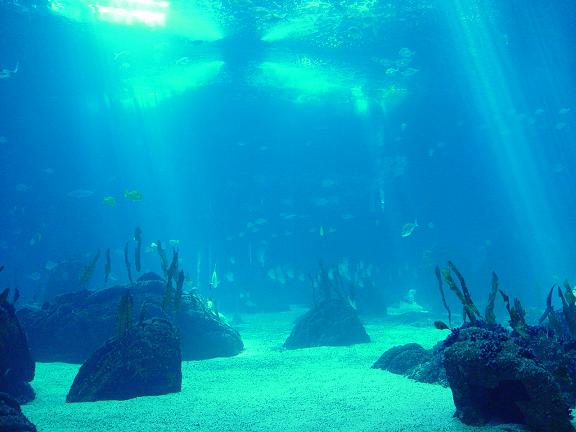 Los Mares