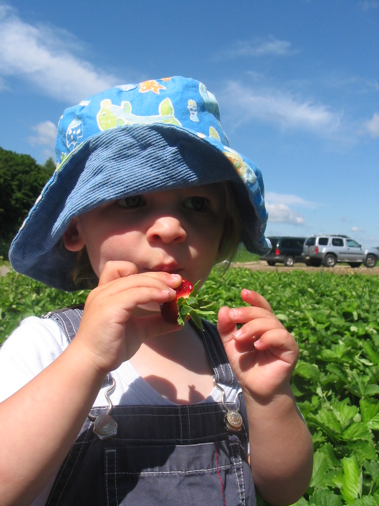 [cooper+strawberry1.JPG]