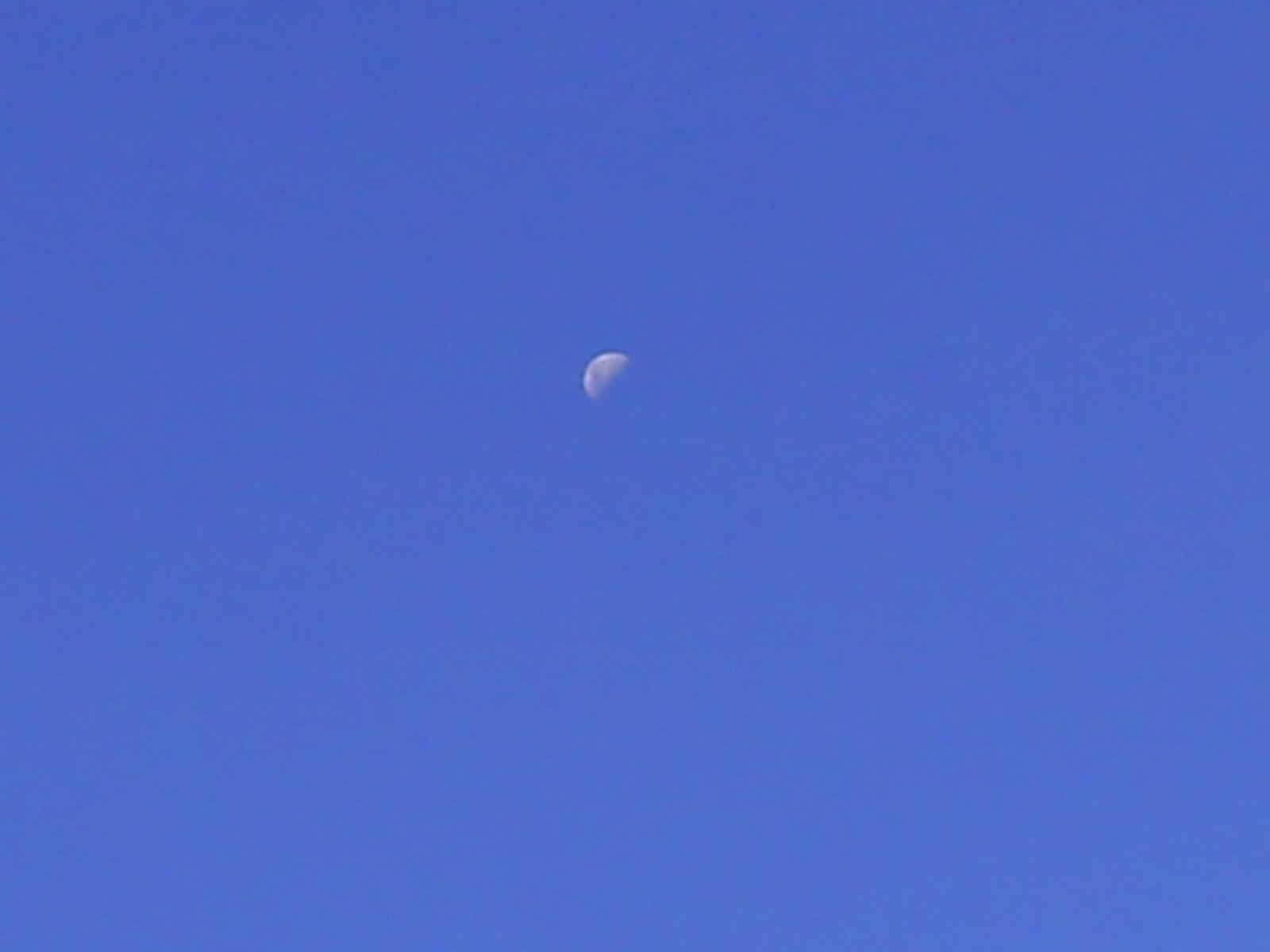 [PICT0221.JPG]