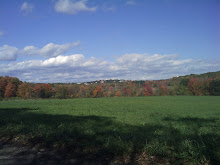 Fall in Amherst