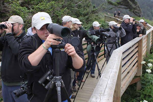 [birding-at-ecola-sp-BIN-IMG_5257-copy.jpg]