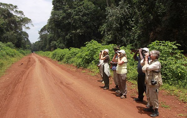 [birding-main-road-kakamega-BINNS-IMG_1740-copy.jpg]