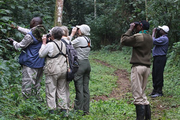 [Pumphouse-trail-kakamega-BINNS-IMG_1722-copy.jpg]