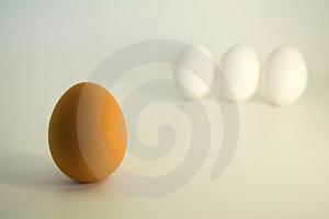 [egg.JPG]