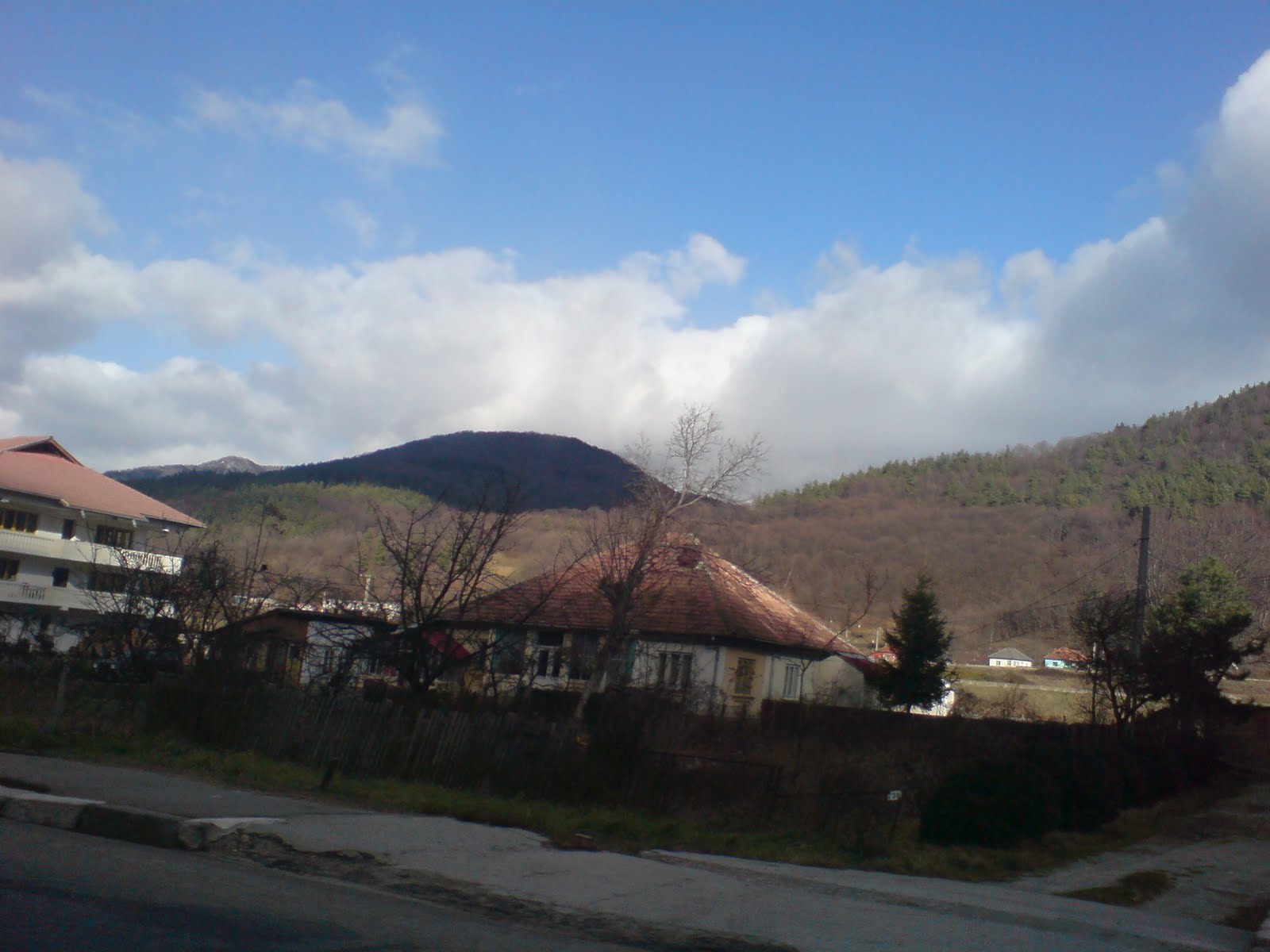 [DSC00423.JPG]