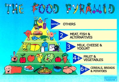 Healthy+diet+pyramid+for+children