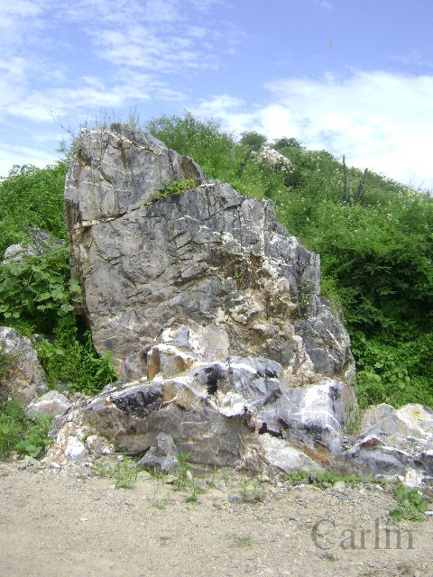 BOSQUE DE PIEDRAS