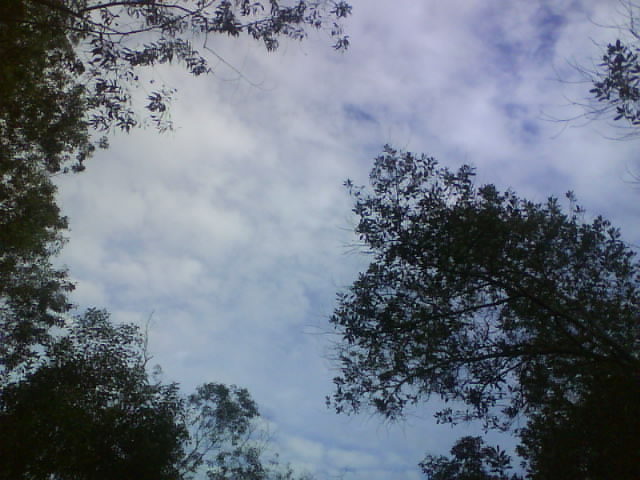 [DSC00533.JPG]
