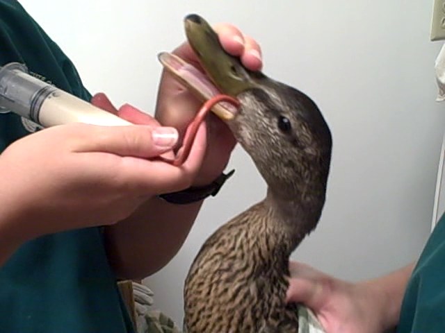 [Video+25+00m+34s.jpg]