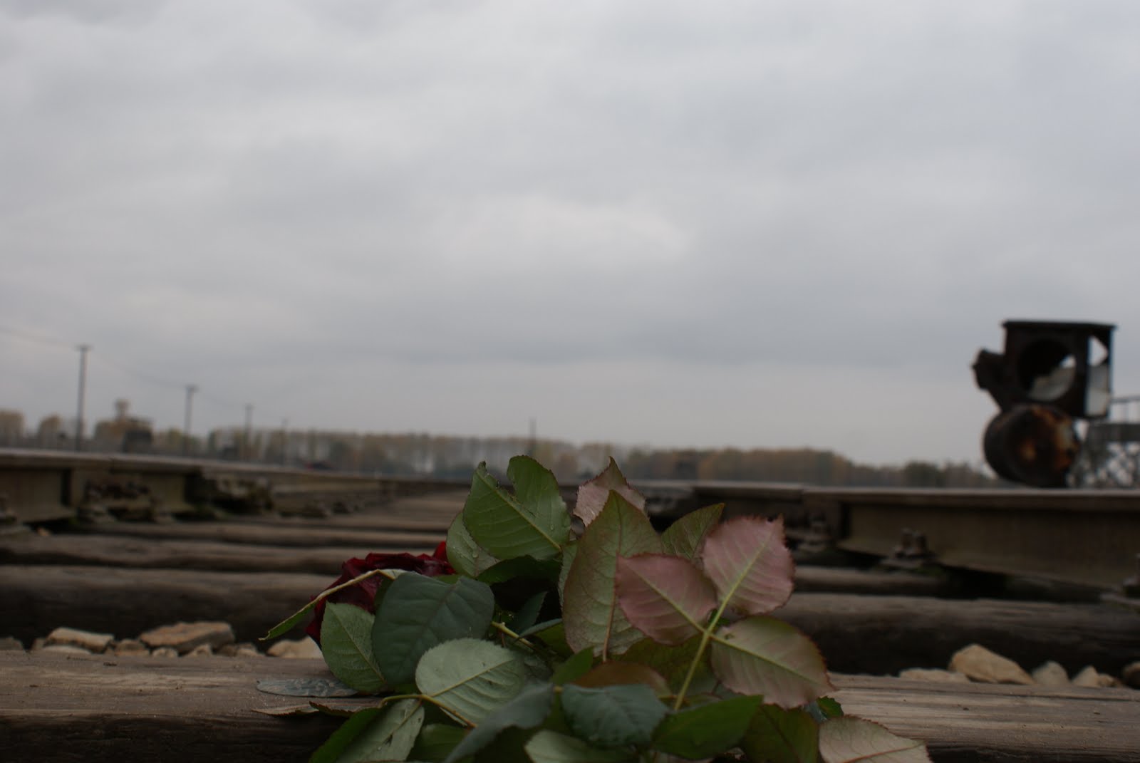 [DSC02318.JPG]