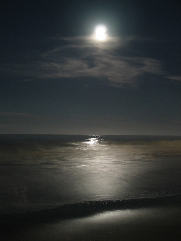 EgoTV » Blog Archive 25 Amazing Photos of Beaches at Night EgoTV