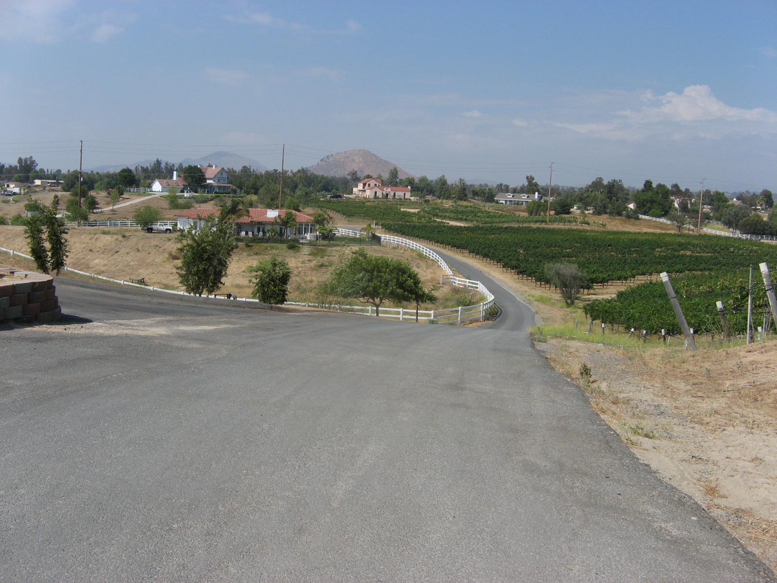 [IMG_7769.JPG]