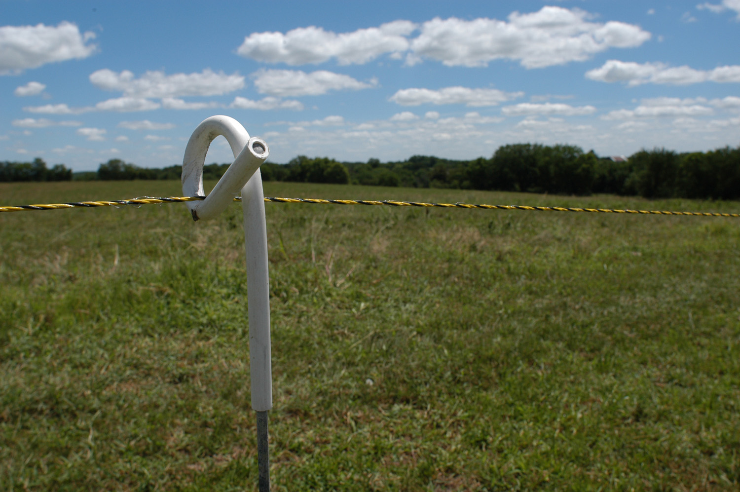 [dElectric+fence+3.jpg]