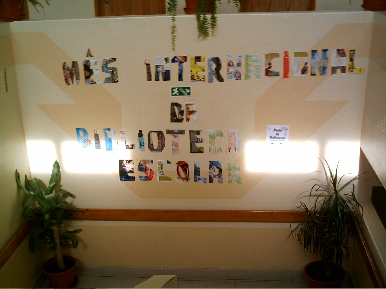 [IMAG0069.JPG]
