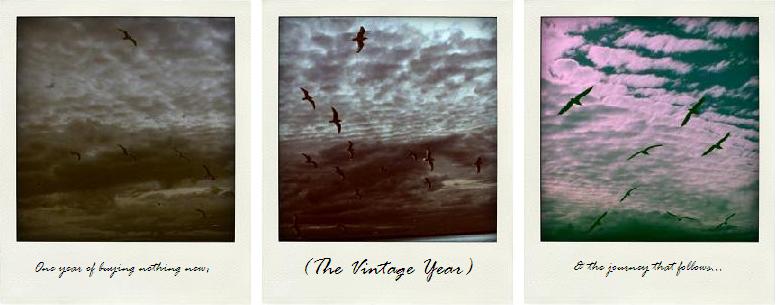 The Vintage Year