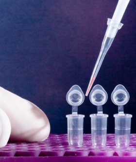 DNA testing delays Clemons
