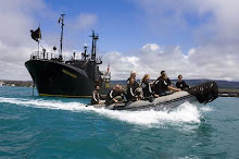Sea Shepherd Brasil - Guardiões do Mar