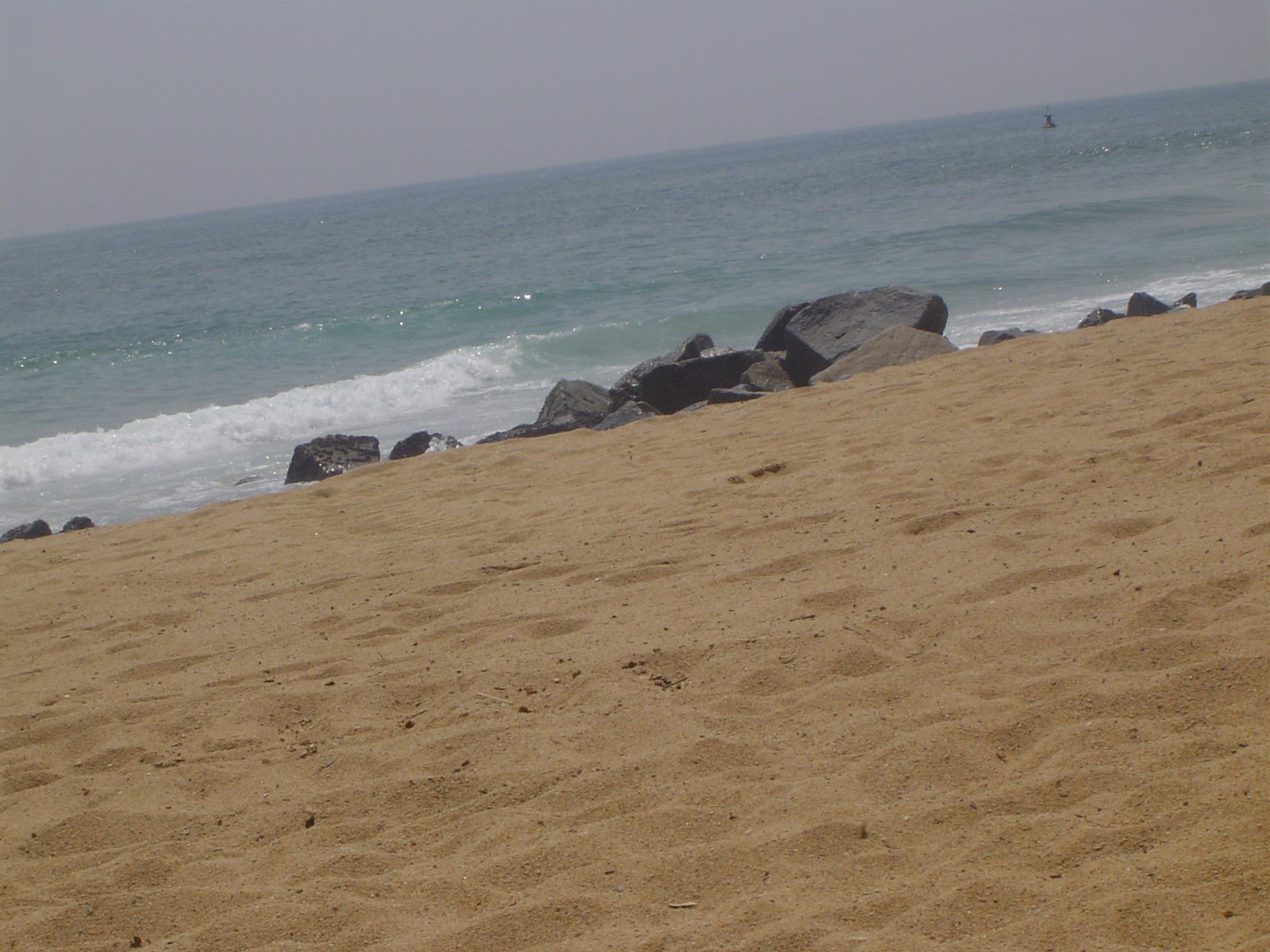 [DSC01154.JPG]