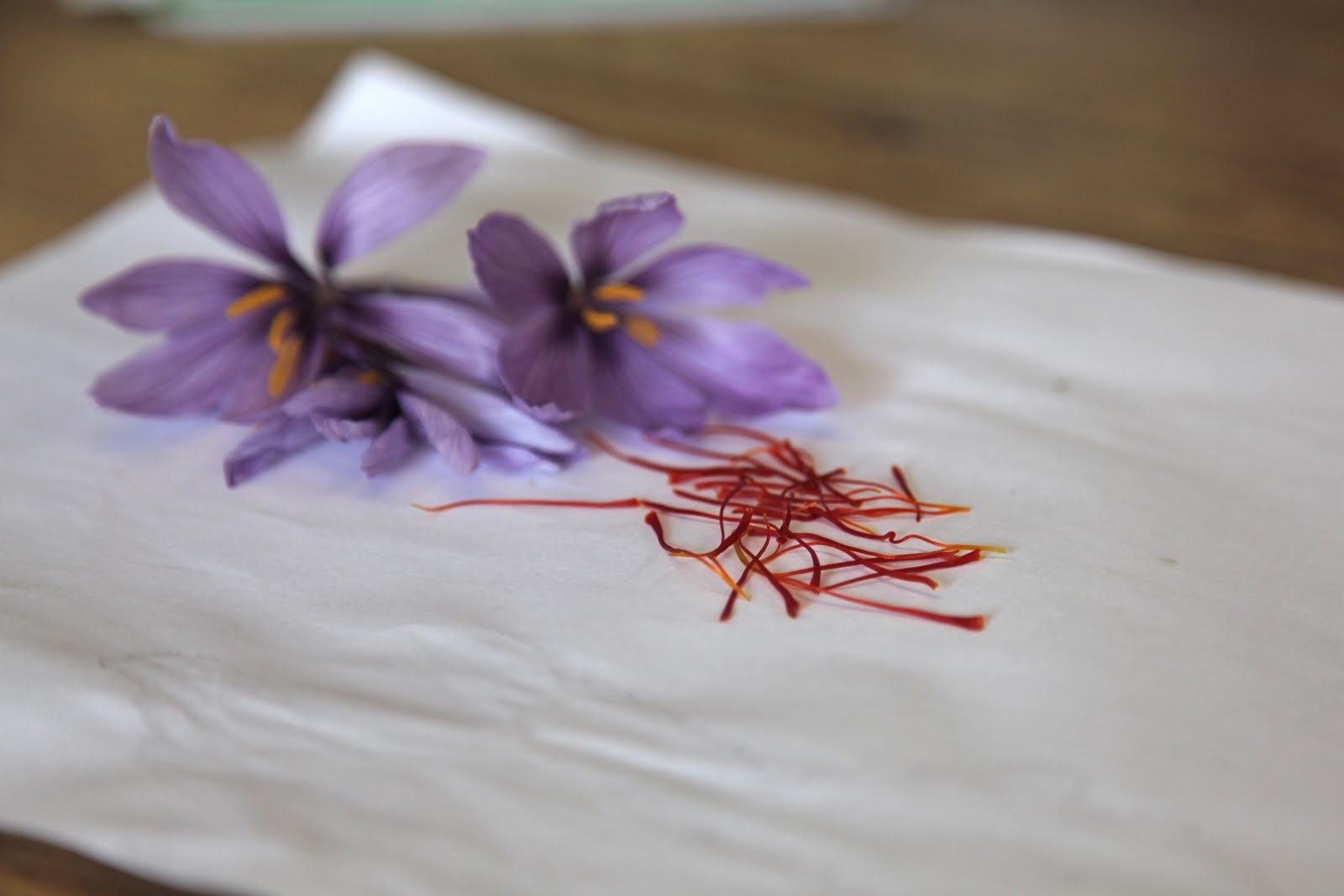 >Niagara's Saffron Harvest The Ontario Table