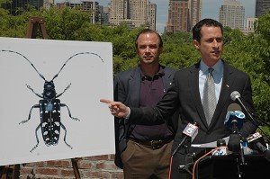 [2006-5-23-weiner.jpg]