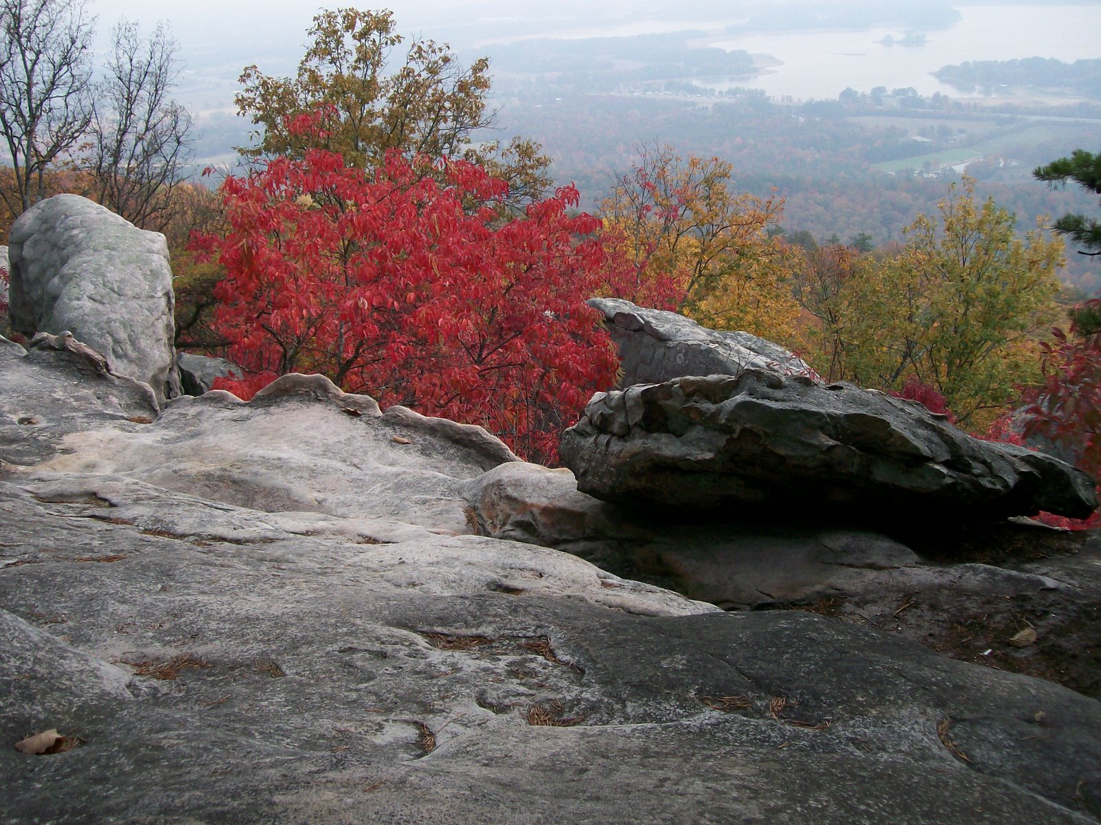 [November+2007+036.jpg]