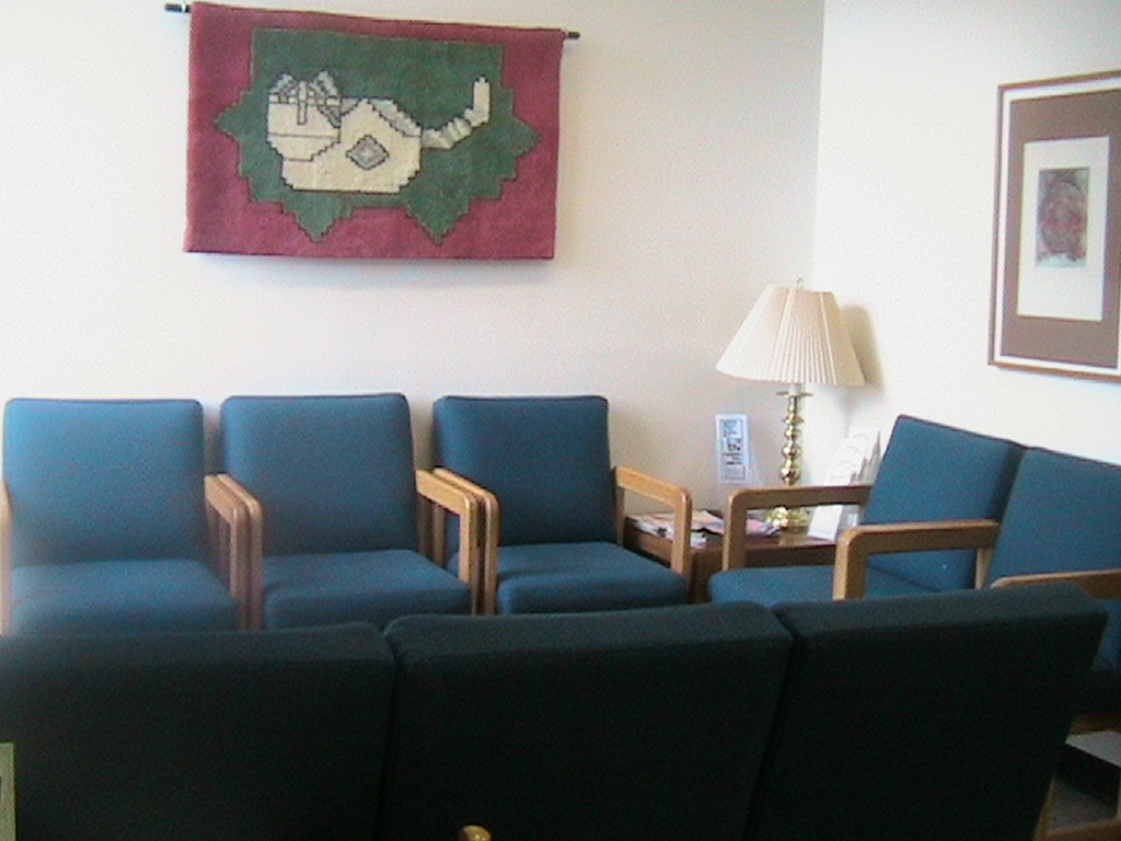 [development%20lab%20wait%20room%20chairs.jpg]