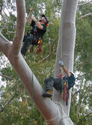 [6a00e0097e4e6888330120a5772975970b-300wi.jpg]