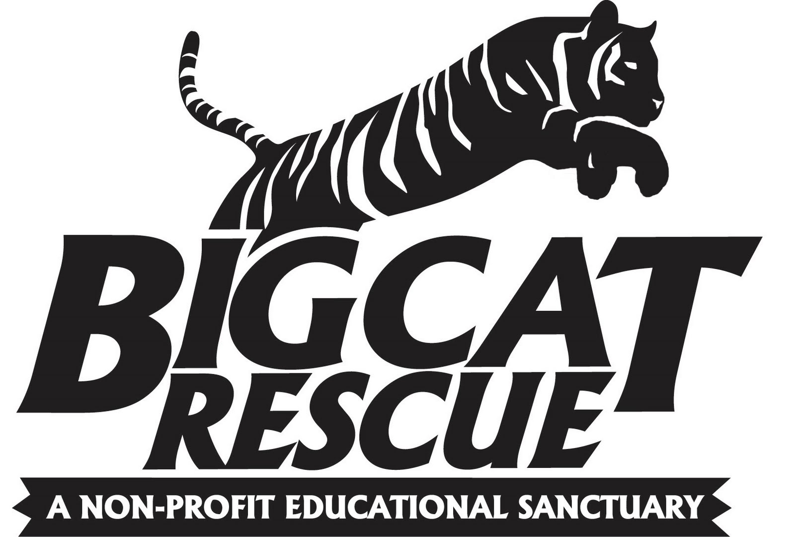 [BigCatRescueRevised.jpg]