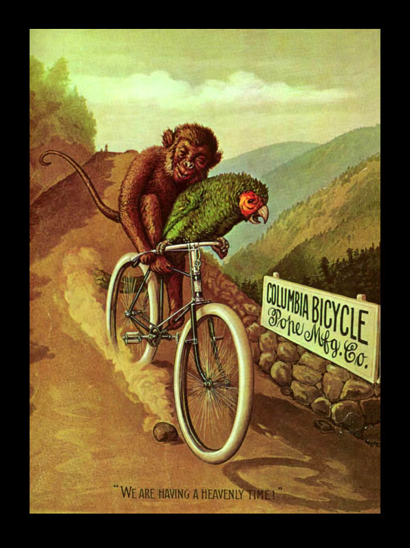 [parrot-and-monkey-on-bike.jpg]