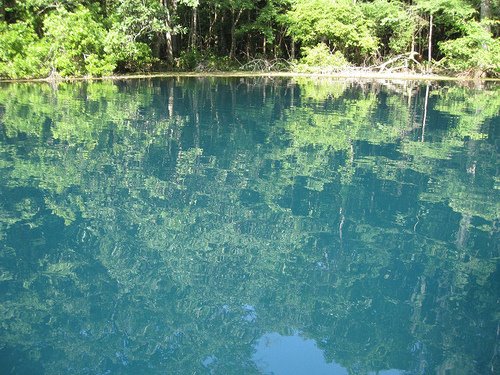 [2522774195_14690e931e.jpg]