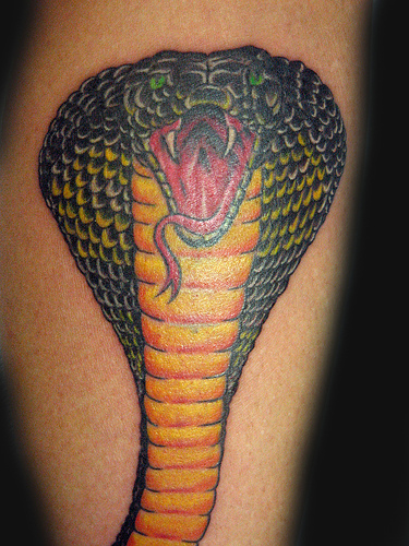 If you love the awesome snake tattoo, you must love the king cobra tattoo!